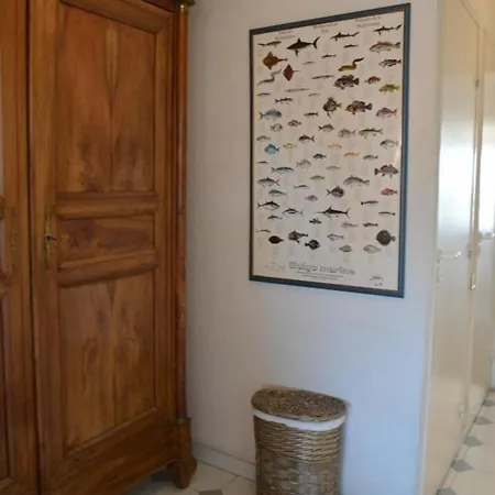 Port Vauban Appartement Antibes